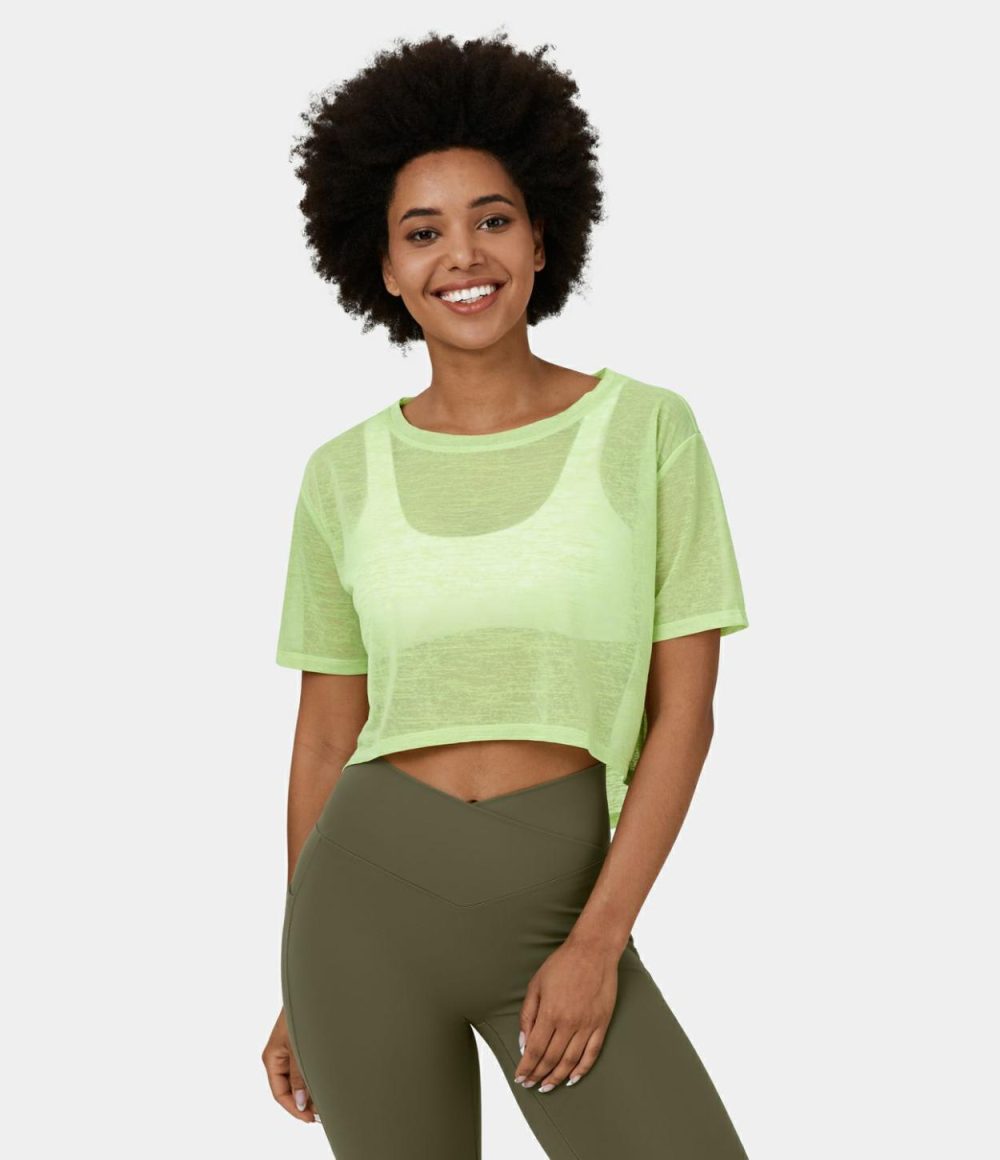 Short Sleeve Cropped Sheer Casual Top  | Womens  Cropped Tops Clothing Cropped Tops